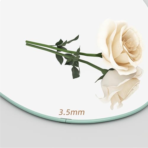 NOIRDA Wall-Mounted Mirror with Shelf and Hooks