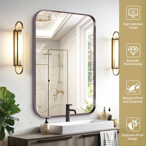 12x16 Inch Dark Bronze Wall Mirror with Brushed Titanium Frame