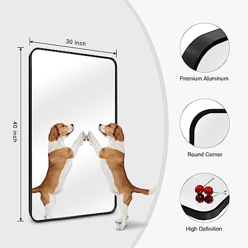 QEQRUG 40x30 Inch Black Frame Wall Mirror