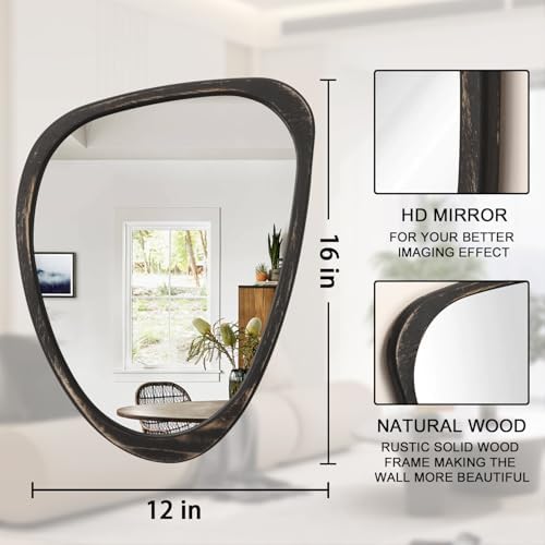 Lzuso Irregular Asymmetrical Wall Mirror