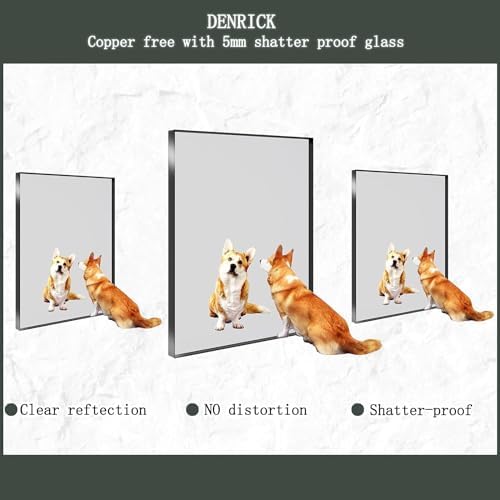 16x20 Inch Matte Black Aluminum Frame Mirror