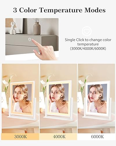 Classic Vanity Mirror with LED Lights and Smart Touch Control
