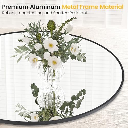 IDEALHOUSE 24 Inch Round Matte Black Mirror 1