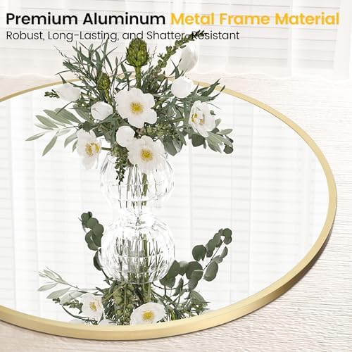 Gold 18 Inch Round Mirror with Brushed Frame 1
